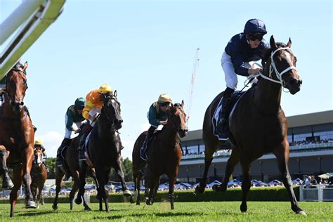 T J Smith Stakes 2025 .
